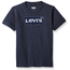 Levi Strauss & Co. Levi's Big Kids' Classic Batwing T-Shirt | Heather Blue Stitched