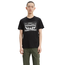 Levi's Men's 2-Horse Graphic Tee 2H Box 22495-0041