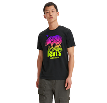 Levi's Men's Graphic Crewneck Tee Bear 22491-1014