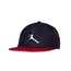 Jordan Elephant Print Elite Snapback Hat