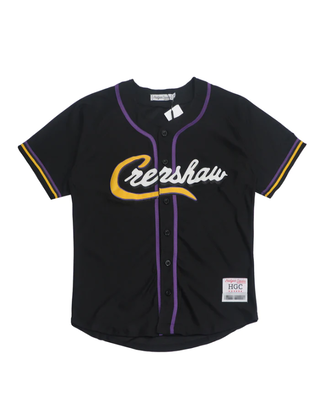 blank purple baseball jersey