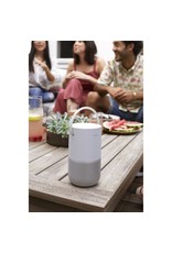 BOSE Bose Portable Home Speaker (Silver)