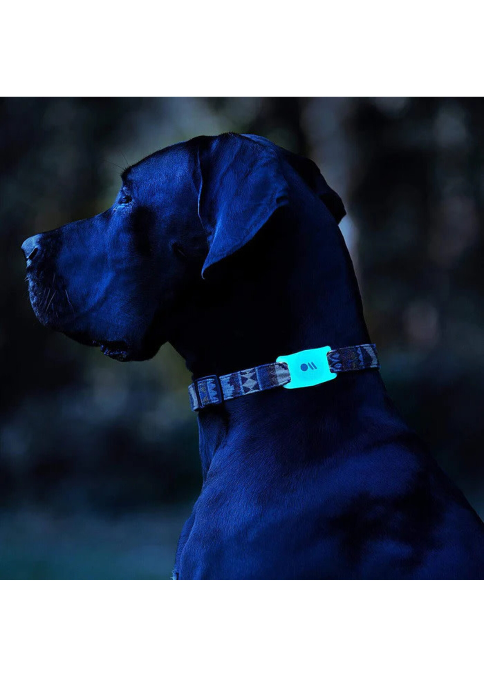 Case Mate Case-Mate AirTag Dog Collar Mount - Clear