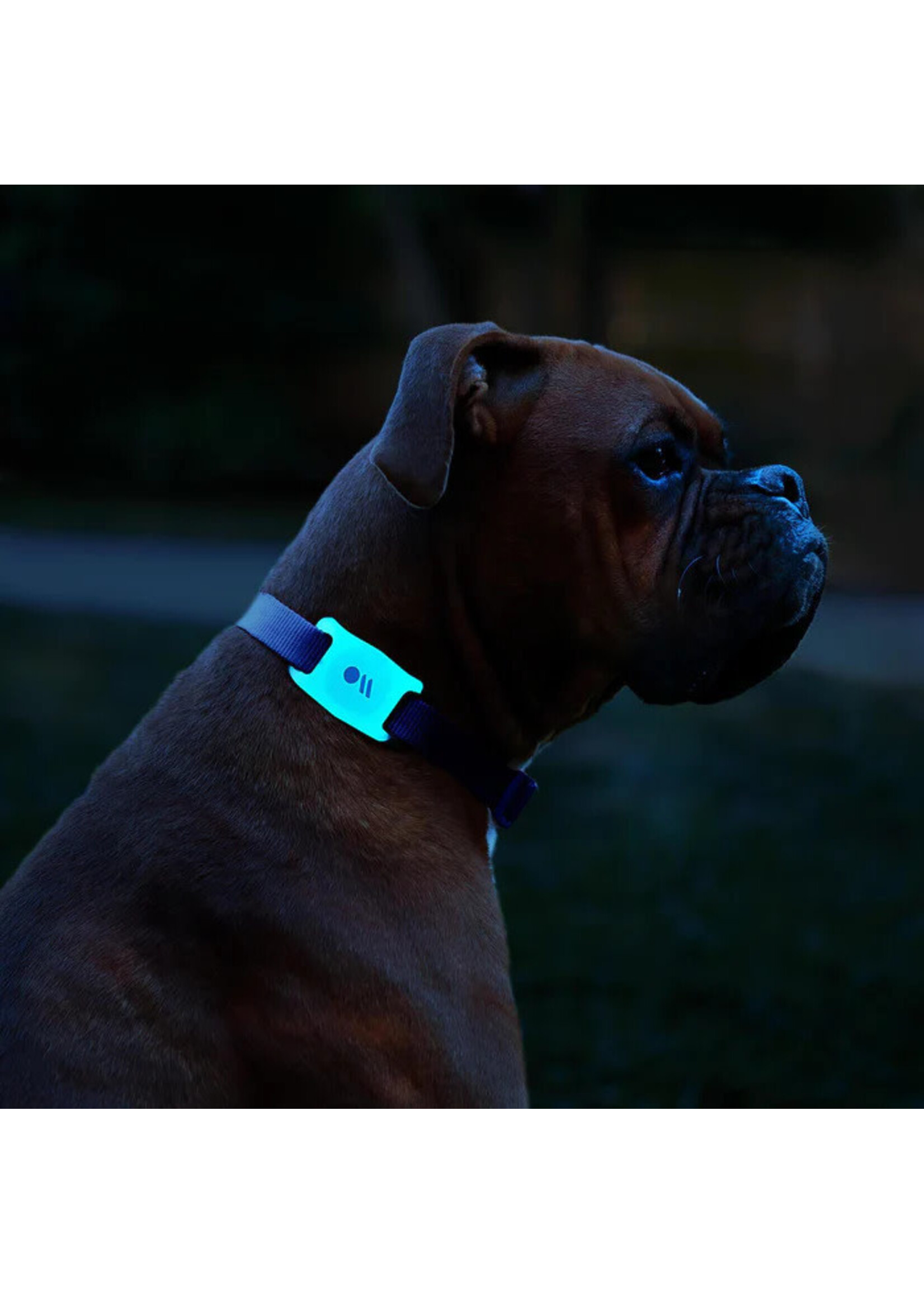 Case Mate Case-Mate AirTag Dog Collar Mount - Clear