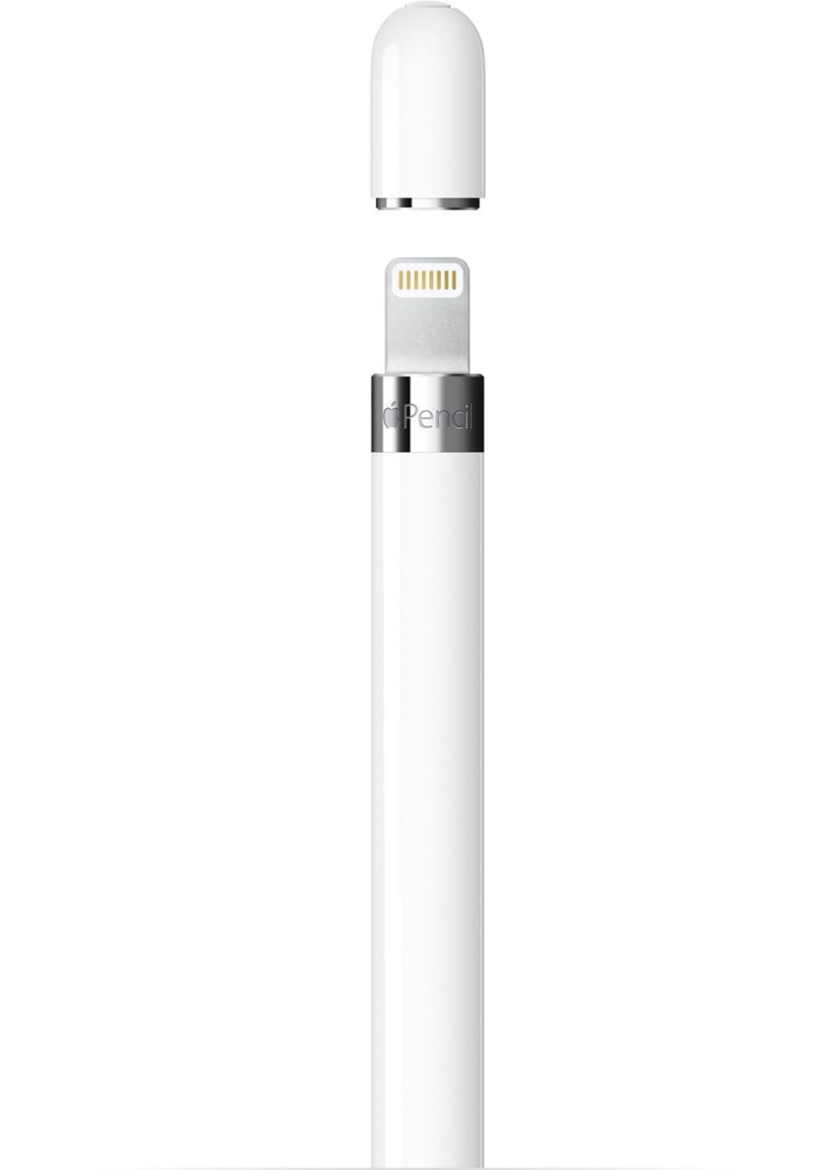 Apple Apple Pencil (1st Generation) with USB-C to Pencil Adapter - White