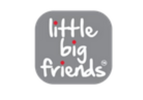Little Big Friends