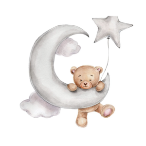 Streamline Art Streamline Art Bear on Moon 16x16 with Floater Frame