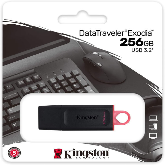 Kingston 256GB USB 3.0 Flash Drive Exodia DTX/256GB