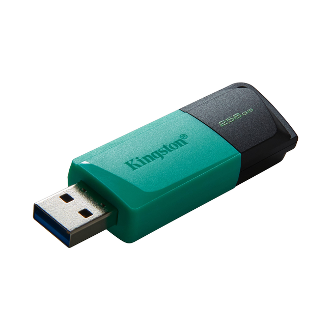 Kingston 256GB USB 3.2 Gen1 Exodia DTXM/256GB