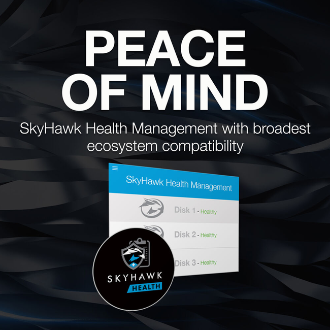 Seagate Skyhawk 12TB Surveillance Drive