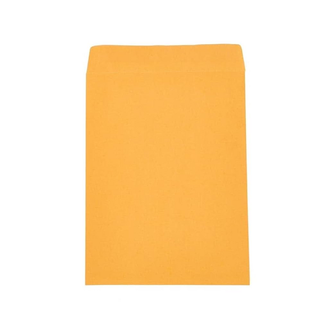 Manilla Envelope Single 12 x 10