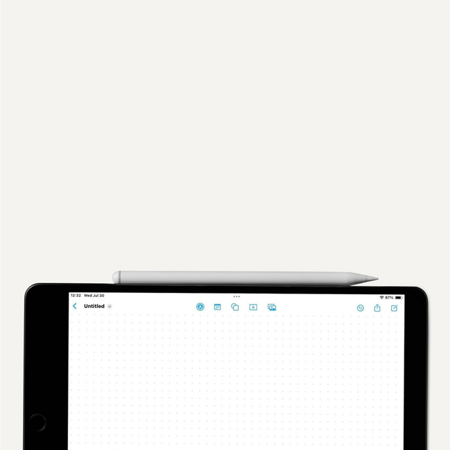 Amazon Stylus Pencil Compatible with iPad and Samsung