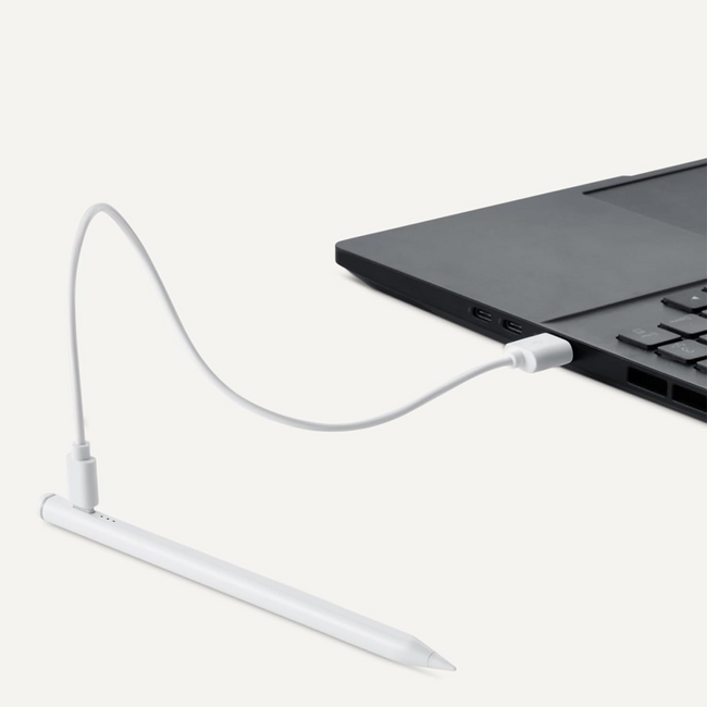Amazon Stylus Pencil Compatible with iPad and Samsung
