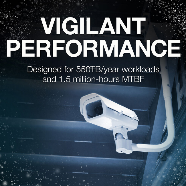 Seagate Skyhawk 14TB AI Surveillance Hard Drive