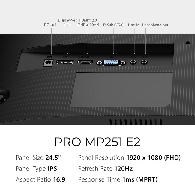 MSI 25" Monitor PRO 120Hz MP251 E2 IPS w Speakers