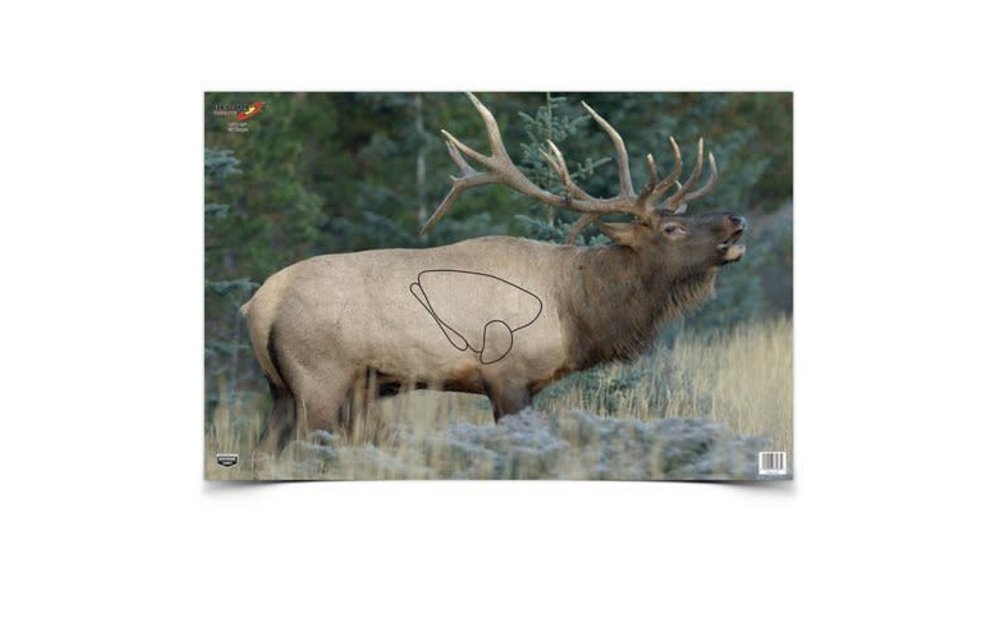 37485 Birchwood Casey Ez-Scorer 23" x 35" Elk - 2 pk folded