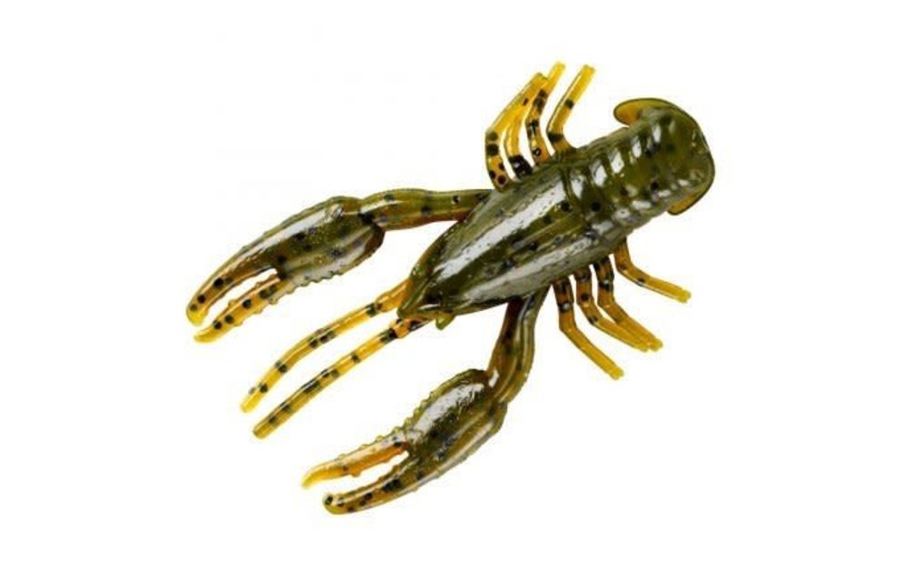 YUM 2.5 CRAWBUG-GREEN PUMPKIN
