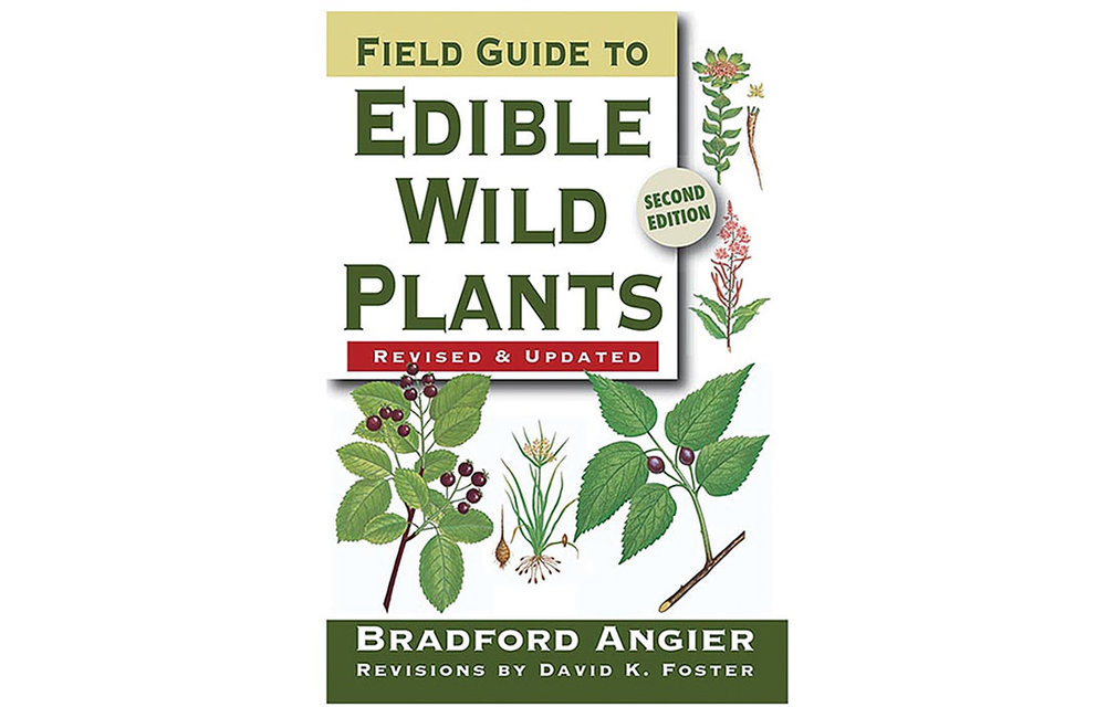 FIELD GUIDE TO EDIBLE WILD PLANTS