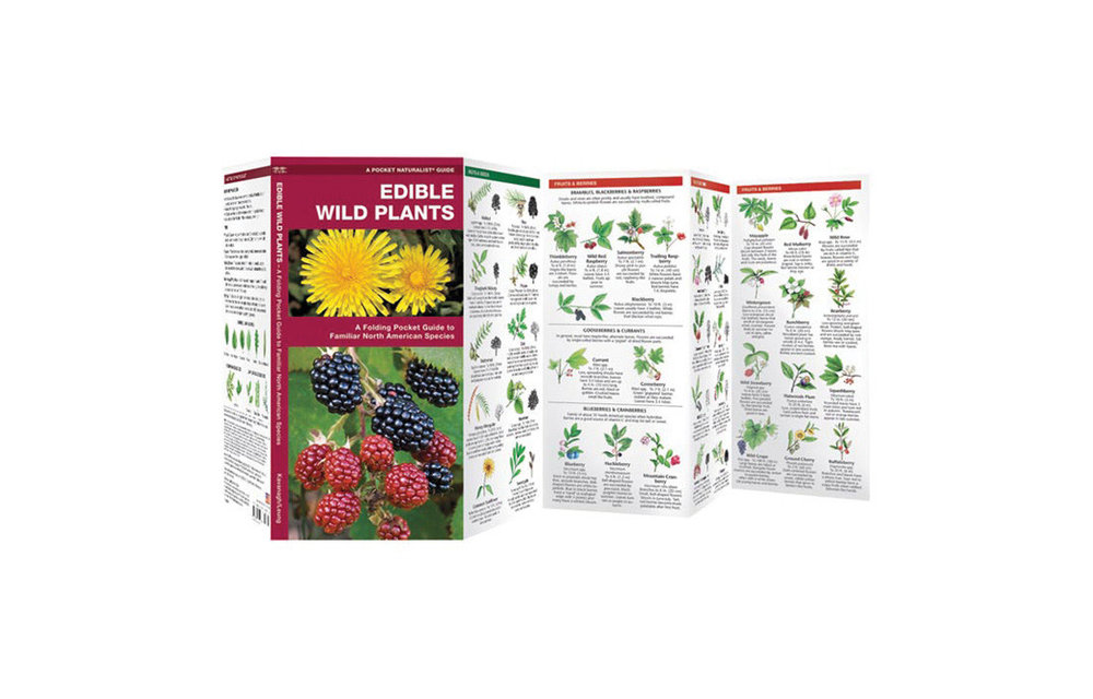 EDIBLE WILD PLANTS pocket guide (EDIBLE WILD PLANTS)