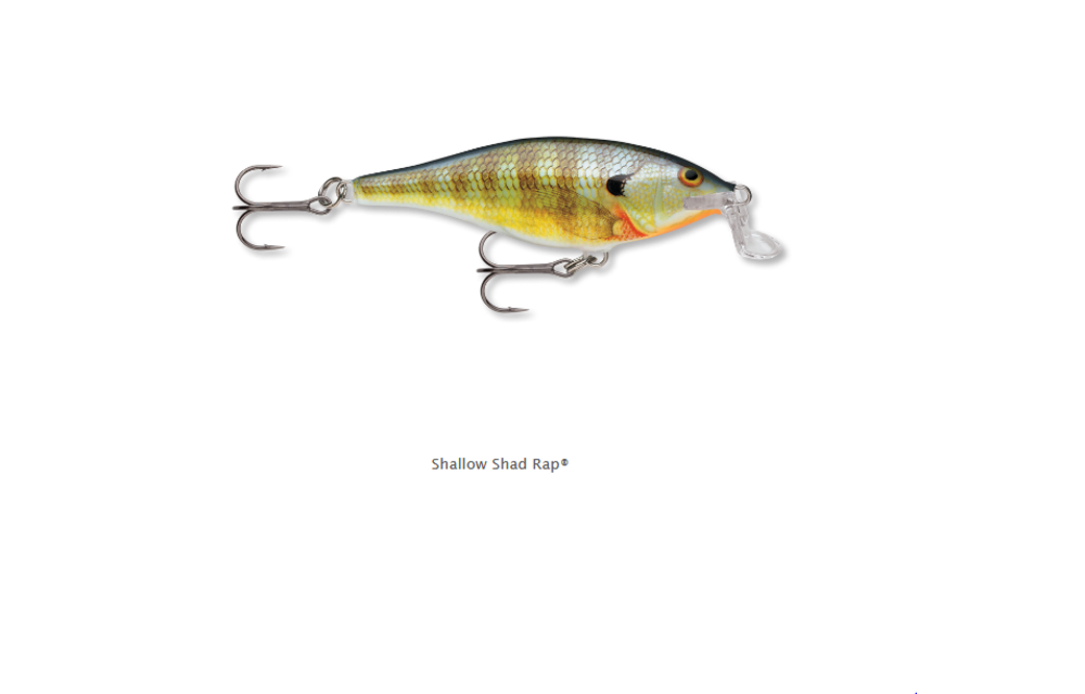 SSR07BG Shallow Shad Rap 07 Blue Gill