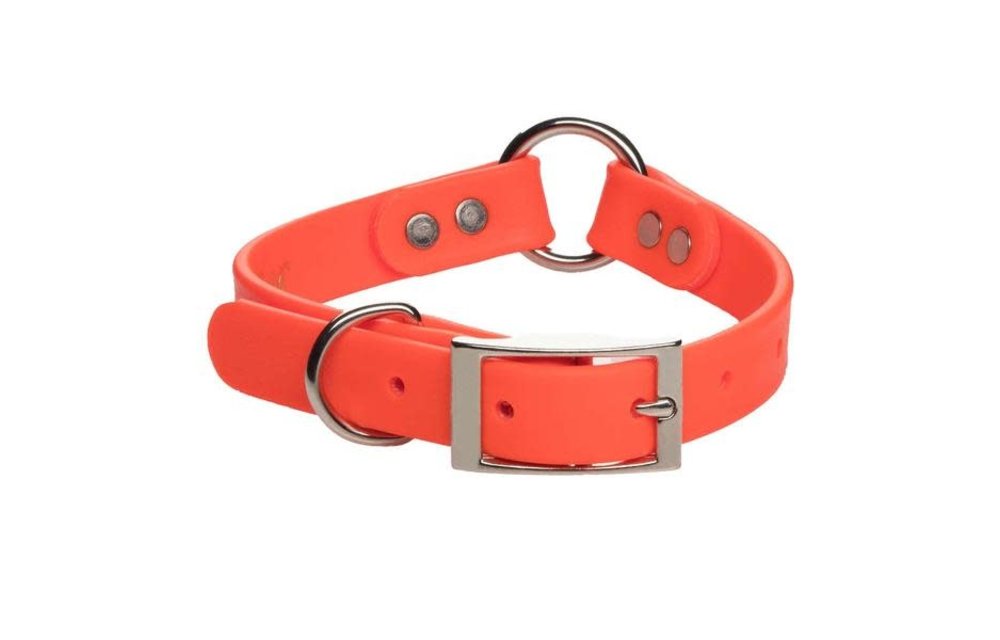 DuraSoft Hunt Collar - Orange 1" x 20"