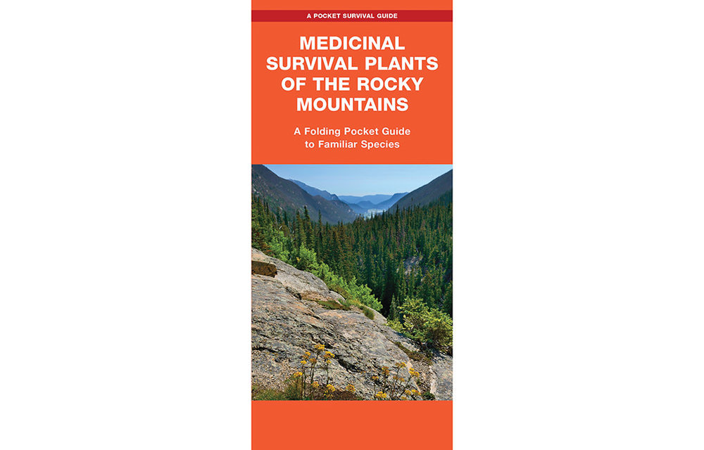 MEDICINAL SURVIVAL PLANT ROCKY