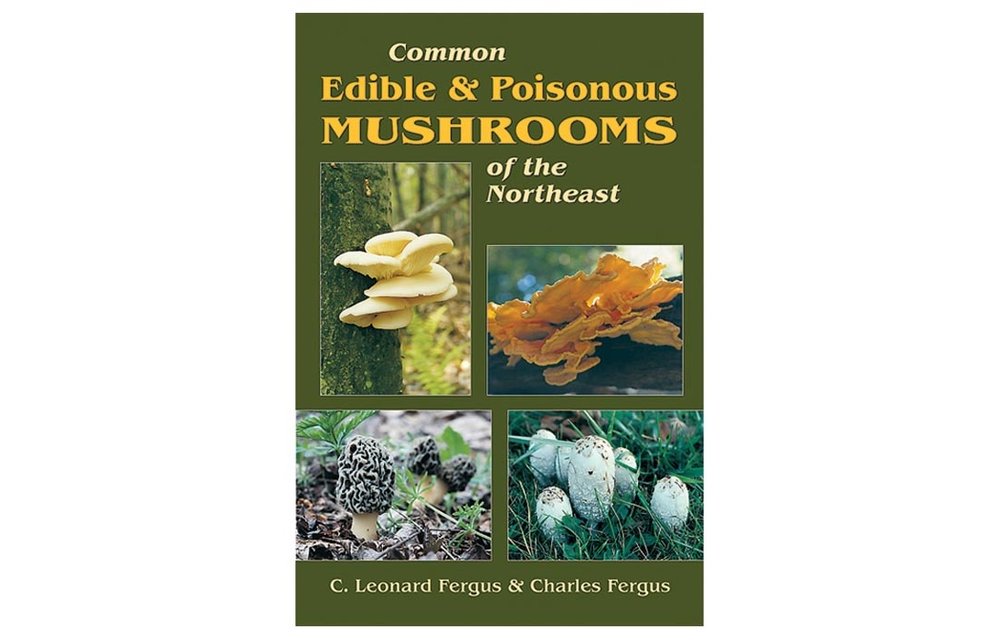 COMMON EDIBLE AND POISONOUS MUSHROOMS