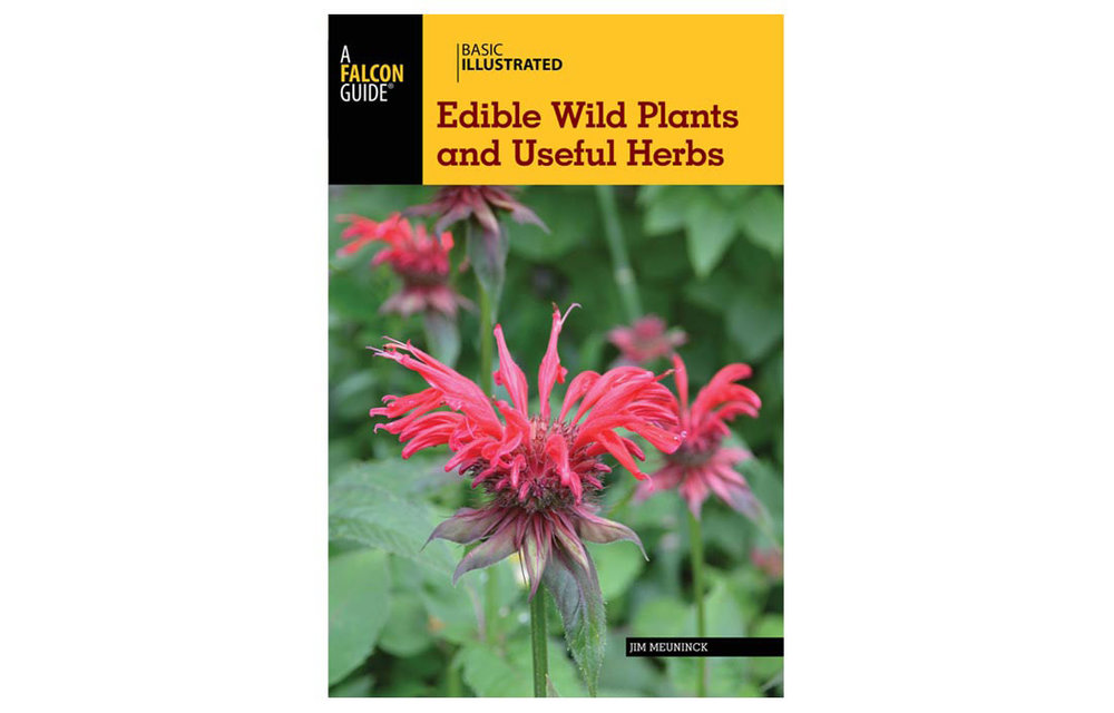 BASIC ILLUSTRATED EDIBLE WILD PLANTS AND USEFUL HERBS