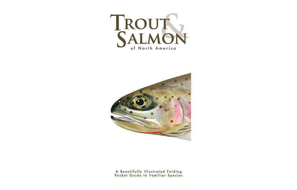 TROUT & SALMON