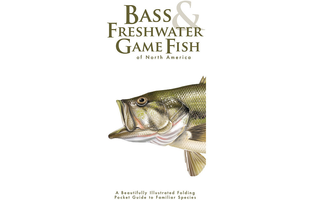 BASS & FRESHWATER GAME FISH