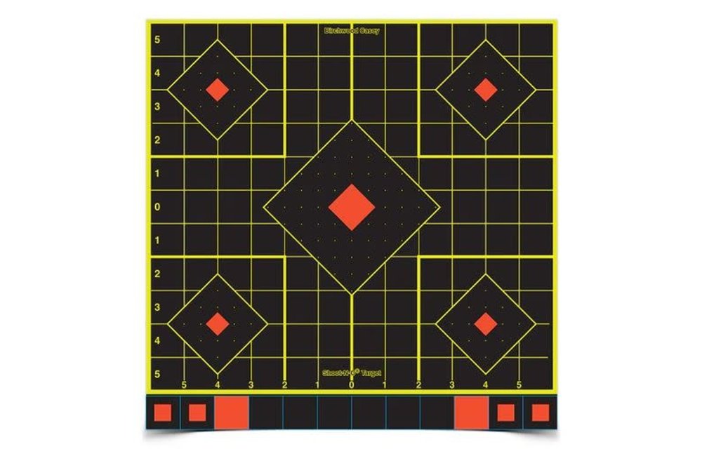 34214 Birchwood Casey Shoot-N-C 12" Sight in Target with Paster 12