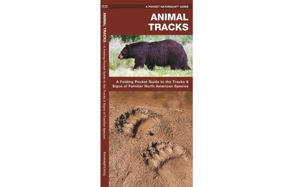 Animal Tracks: A Folding Pocket Guide to the Tracks & Signs of Familiar North American Species