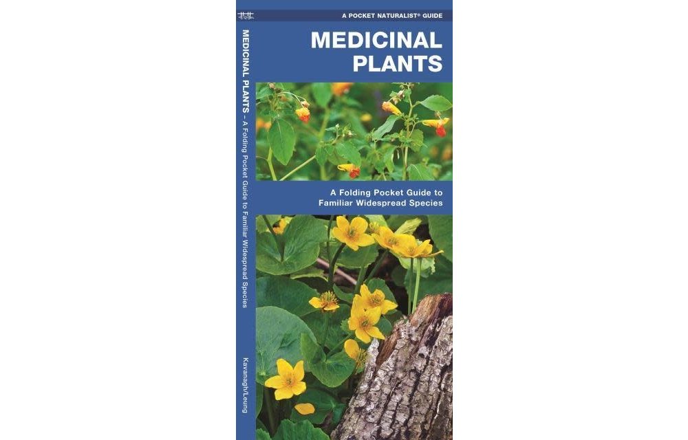 Medicinal Plants: A Folding Pocket Guide to Familiar Widespread Species