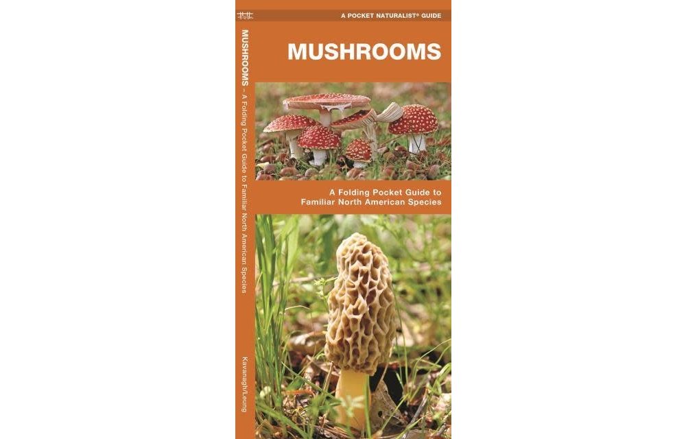 Mushrooms: A Folding Pocket Guide to Familiar North American Species