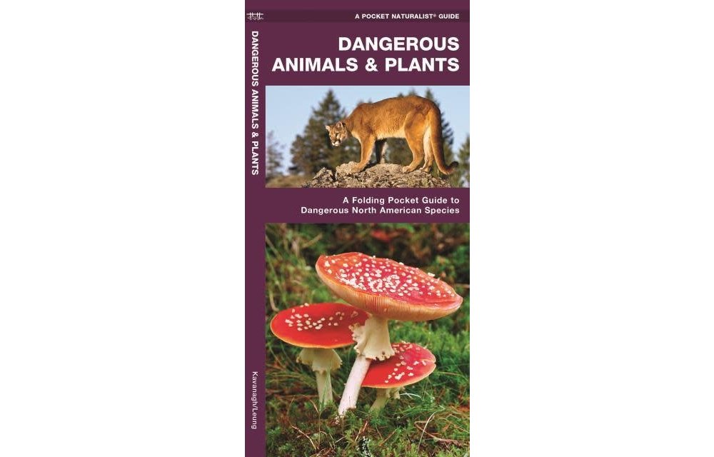 Dangerous Animals & Plants: A Folding Pocket Guide to Dangerous North American Species