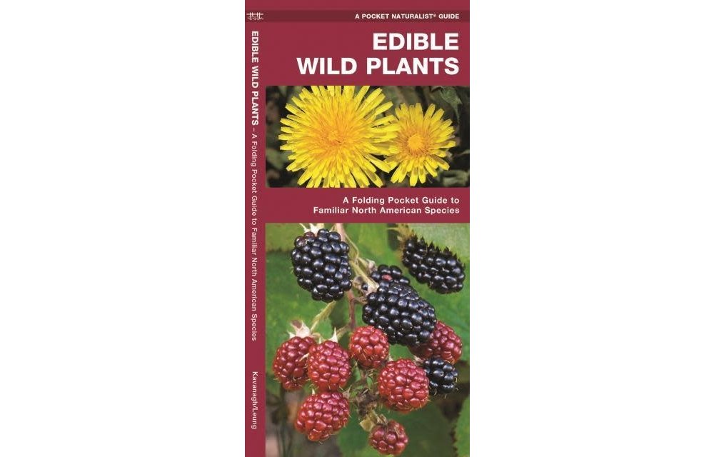 Edible Wild Plants: A Folding Pocket Guide to Familiar North American Species