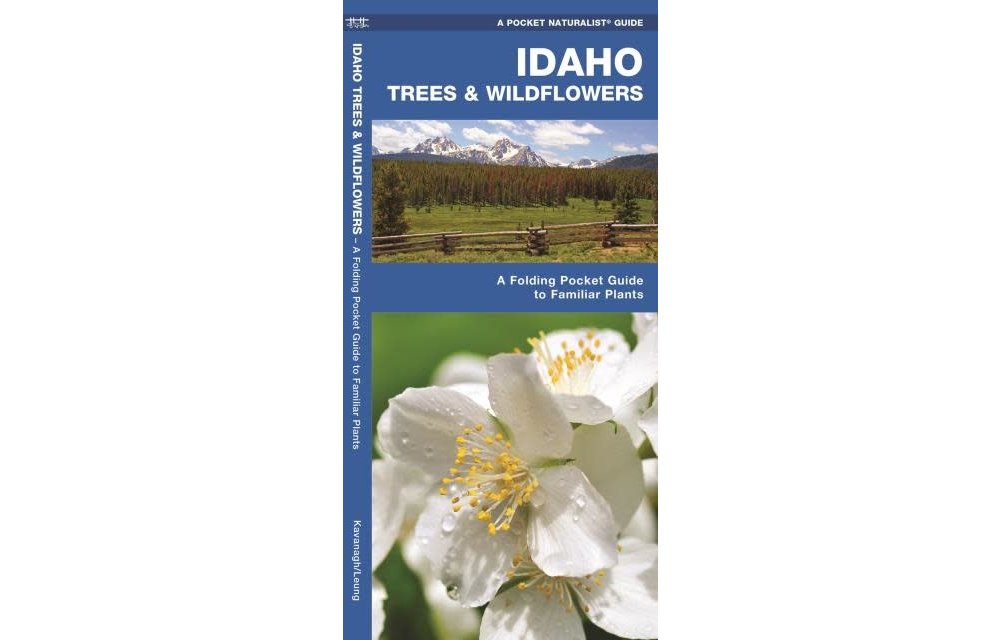Idaho Trees & Wildflowers: A Folding Pocket Guide to Familiar Plants
