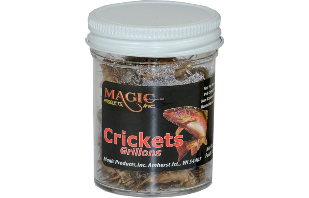 Crickets - 1/2 oz Jar
