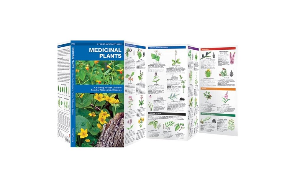 Medicinal Plants: A Folding Pocket Guide to Familiar Widespread Species