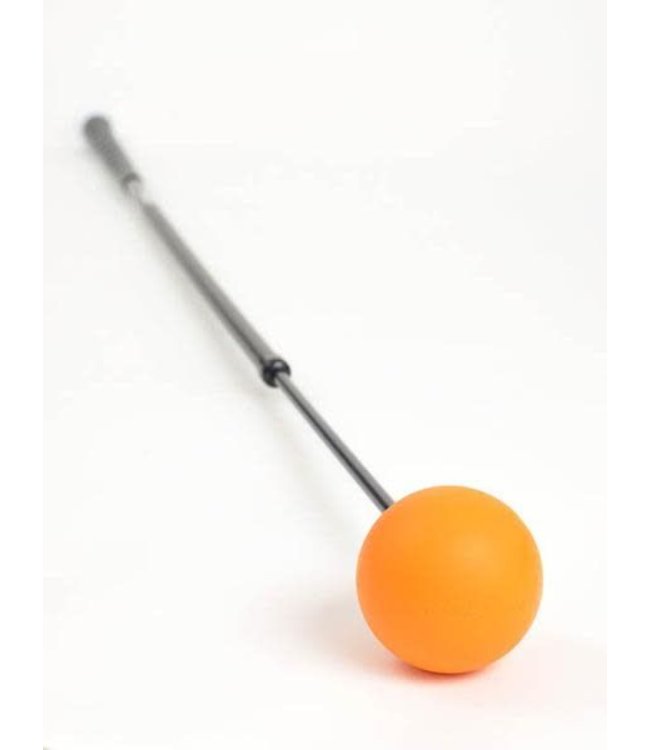 Orange-Whip ORANGE WHIP TRAINER