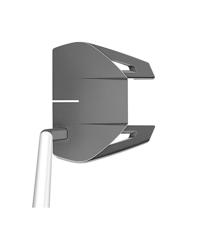 Taylormade SPIDER GT