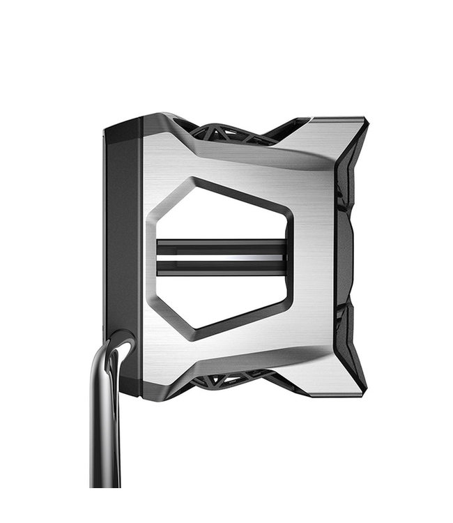 COBRA KING 3D Printed AGERA Putter