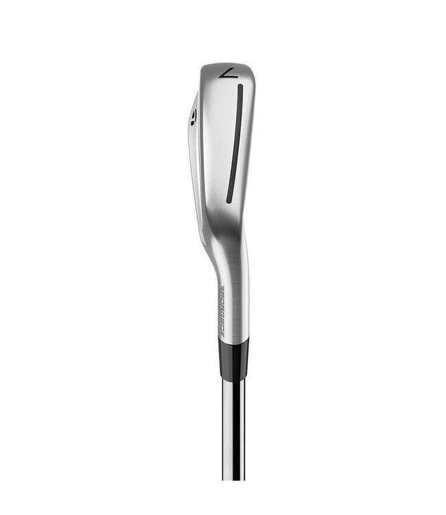 TaylorMade P-790 Irons