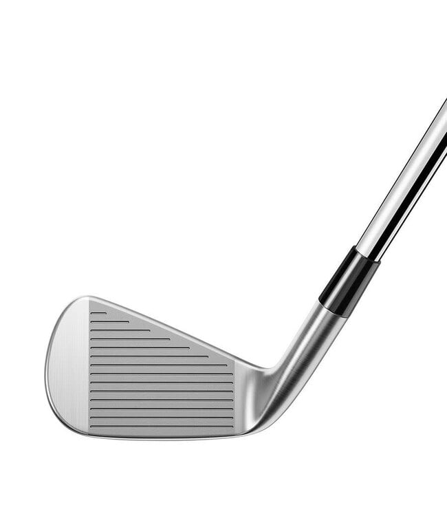 TaylorMade P-790 Irons