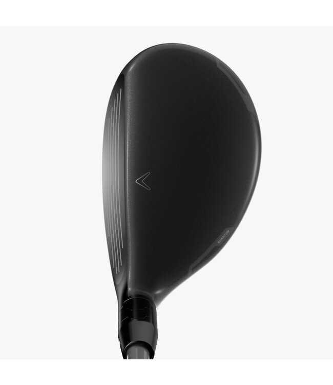 Quantum Max OS Hybrids