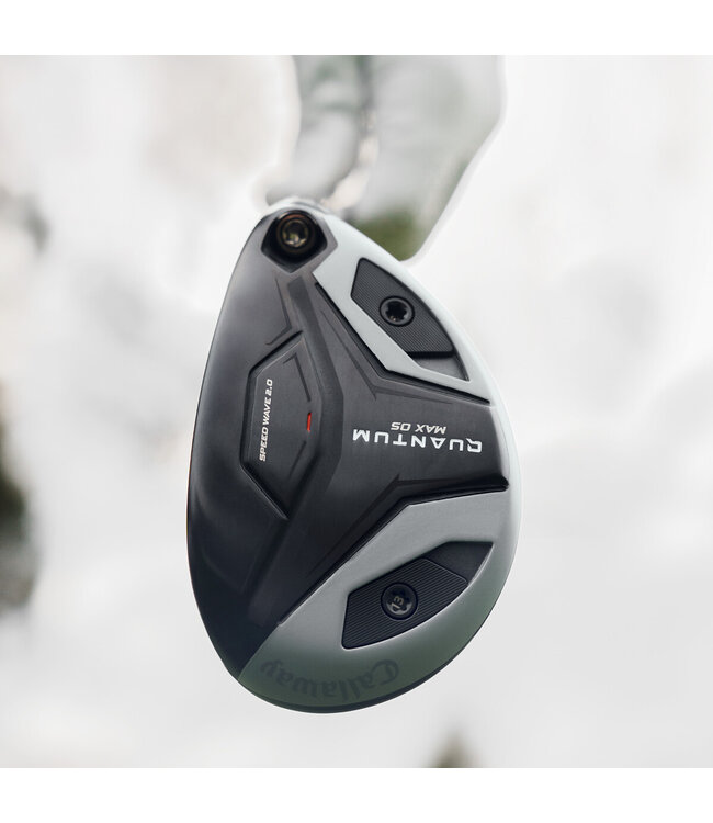 Quantum Max OS Hybrids