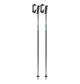 LEKI LEKI QNTM SKI POLES