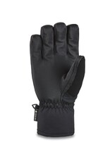 DAKINE Dakine Titan Gore-Tex Short Gloves
