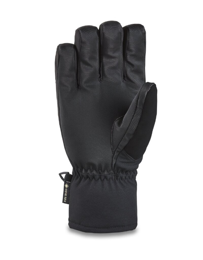 DAKINE Dakine Titan Gore-Tex Short Gloves