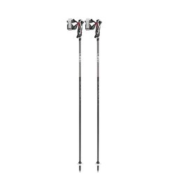 LEKI Leki Carbon 14 3D Ski Poles